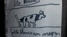 El tierno aviso de un niño para encontrar a su gatito en Concepción que se volvió viral