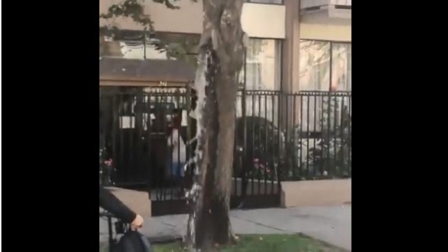 Árbol que botaba litros de agua sorprendió a vecinos de Viña del Mar Árbol que botaba litros de agua sorprendió a vecinos de Viña del Mar