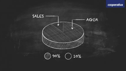   Mitos y verdades sobre la cantidad de cloro en el agua 