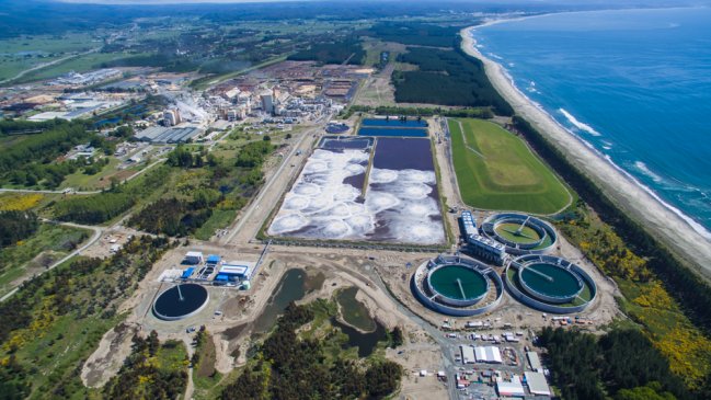 MAPA: El gigante que construirá Arauco para ser el segundo exportador de celulosa en el mundo