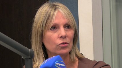   Lily Pérez y conflicto de Contraloría: El silencio del Gobierno es correcto 