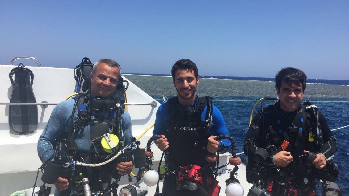 Chillanejos se capacitaron junto a selecto grupo mundial dedicado a la fotografía submarina