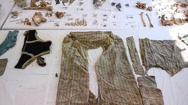 Cadáver de hombre asesinado hace 44 años fue descubierto por higuera que creció de su estómago