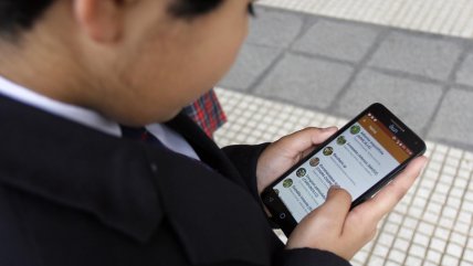 App permite conocer las abejas nativas de Chile   App permite conocer las abejas nativas de Chile