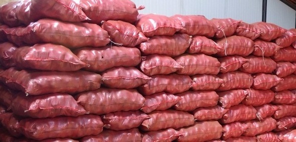 La Araucanía: Proponen 