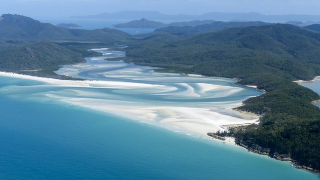  Un hombre murió por ataque de tiburón en Australia  