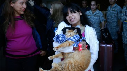   El gato que también retornó desde Venezuela 