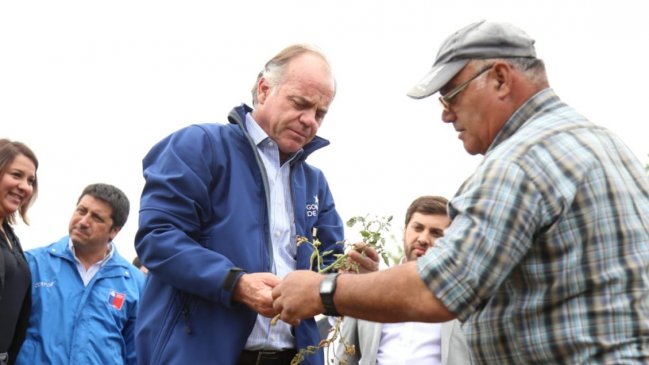 Paro portuario: Ministro de Agricultura advirtió sobre efecto en exportación de frutas