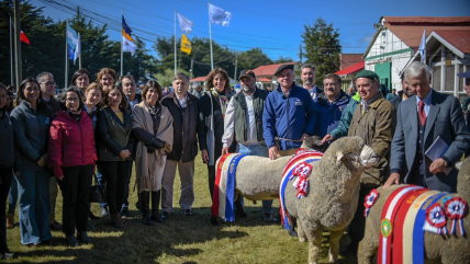 Magallanes: Con éxito se desarrolló la Expogama 2019  