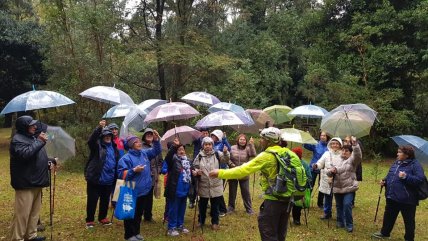  Adultos mayores de La Unión realizaron caminata ecológica  