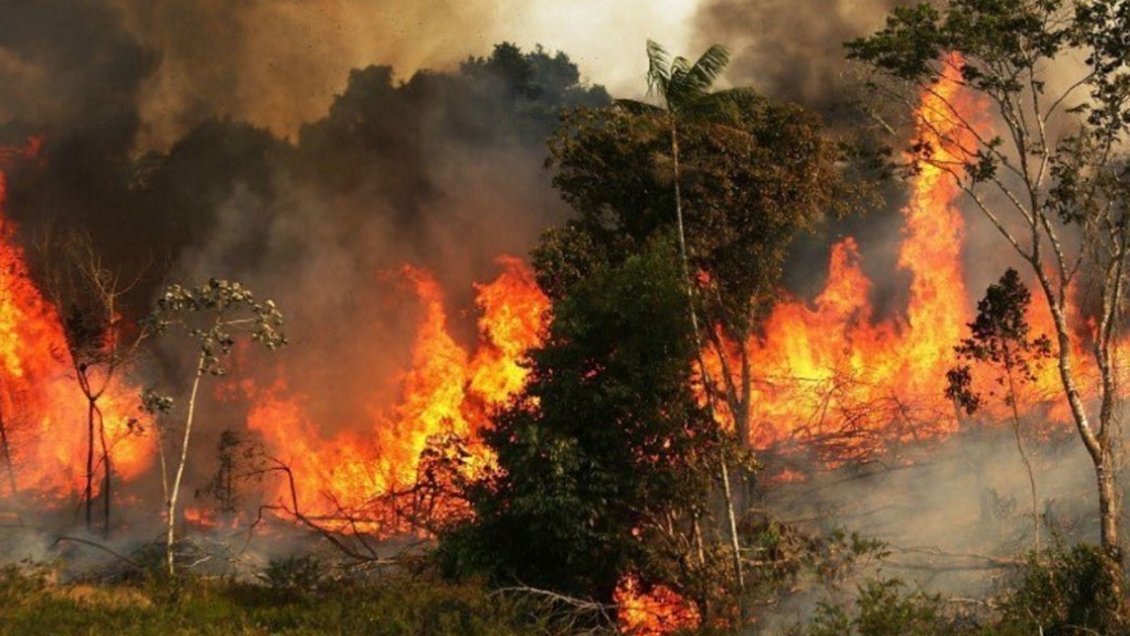 Bolsonaro insinúa que las ONG están detrás de los incendios en Amazonía