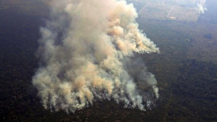  Congreso Futuro: La gravedad de los incendios forestales en el mundo  