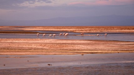  Las tres nominaciones de Chile a los World Travel Awards  