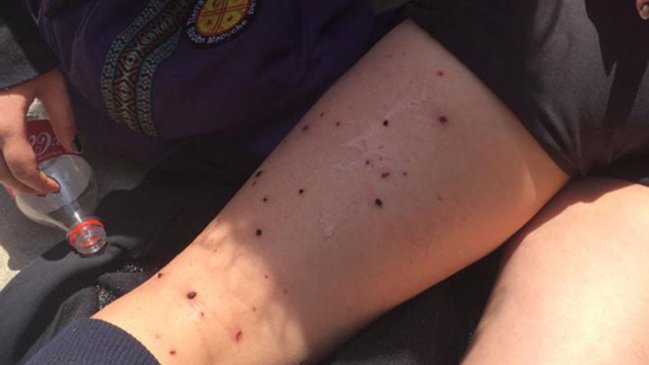 Alumnas piden renuncia de rectora y alcalde Alessandri tras disparos en Liceo 7 de Santiago