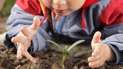  Infancia en Altavoz: Cómo fomentar el cuidado del medio ambiente en los niños  