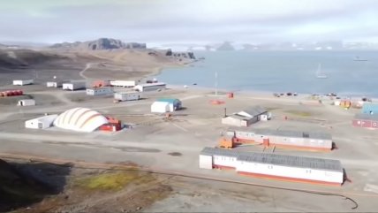  El impacto de los eventos de alta temperatura en la fauna de la Antártica  