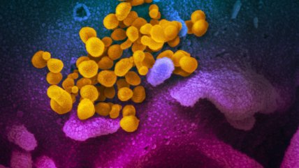  Guía básica contra las mentiras del coronavirus  