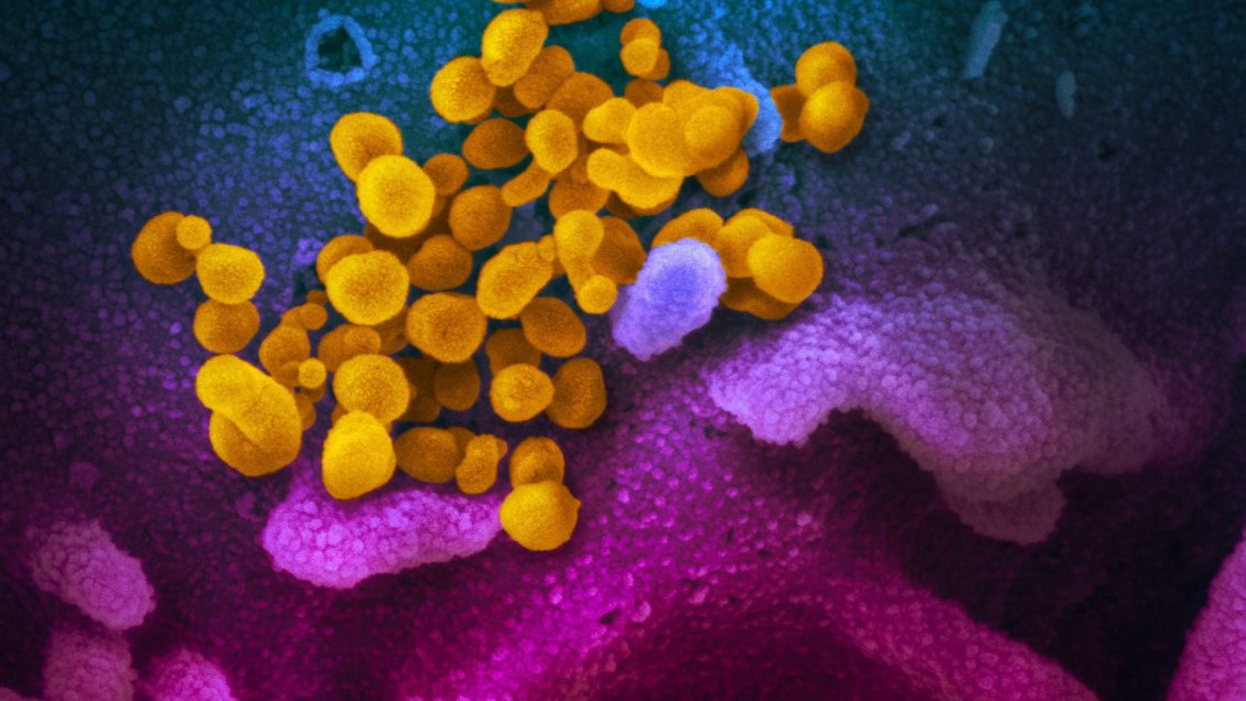 Guía básica contra las mentiras del coronavirus Guía básica contra las mentiras del coronavirus