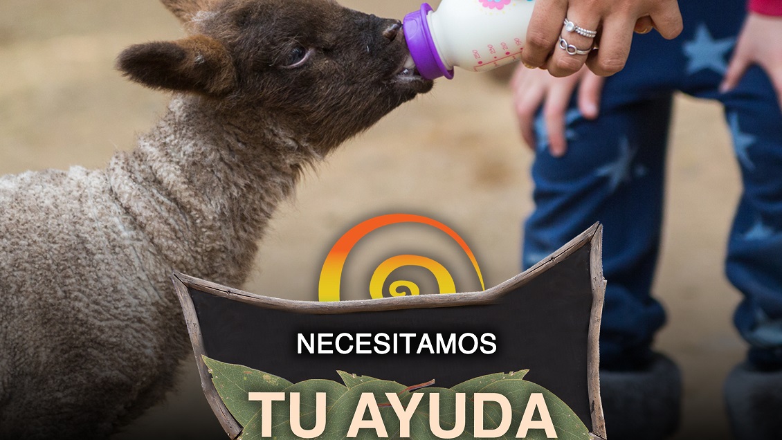 Entradas anticipadas y pases anuales: Granjaventura pide ayuda para no desaparecer Entradas anticipadas y pases anuales: Granjaventura pide ayuda para no desaparecer