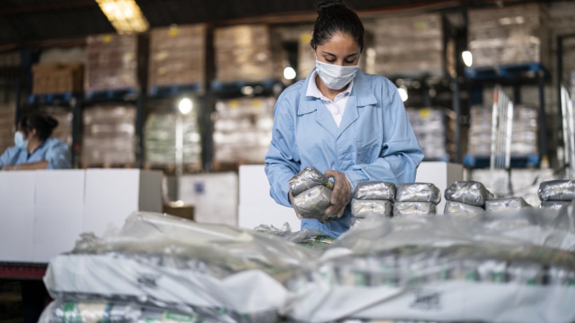 Lo que trae la caja de alimentos que se repartirá en la Región Metropolitana Lo que trae la caja de alimentos que se repartirá en la Región Metropolitana