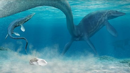  Descubren en la Antártica huevo de la era de los dinosaurios  