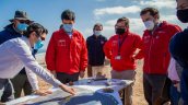 En Hornitos habrá un santuario para la protección del gaviotín chico En Hornitos habrá un santuario para la protección del gaviotín chico