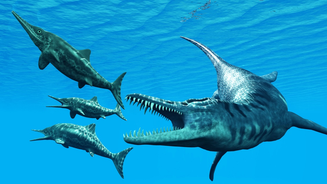 Descubren fósiles en el Desierto de Atacama del mayor depredador marino del Jurásico Descubren fósiles en el Desierto de Atacama del mayor depredador marino del Jurásico