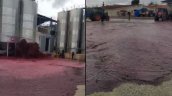 Una desgracia: Más de 50.000 litros de vino se derramaron en fábrica española Una desgracia: Más de 50.000 litros de vino se derramaron en fábrica española