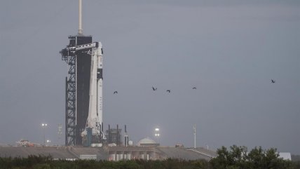 Todo listo para la histórica misión tripulada de la NASA y SpaceX a la EEI Todo listo para la histórica misión tripulada de la NASA y SpaceX a la EEI