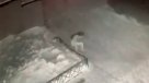 Niña de seis años sobrevivió tras caer a la nieve desde cuarto piso Niña de seis años sobrevivió tras caer a la nieve desde cuarto piso