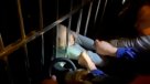 Rescatan a niño de dos años de caer desde un piso 13 Rescatan a niño de dos años de caer desde un piso 13