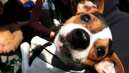  Sebastián Jiménez: 