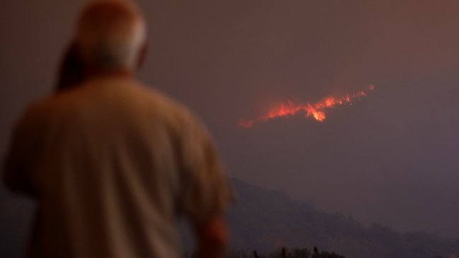Fiscal informó que punto de origen del incendio forestal en Quilpué ya fue encontrado