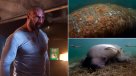 Ex luchador de la WWE ofreció 20 mil dólares para atrapar a quien tatuó Ex luchador de la WWE ofreció 20 mil dólares para atrapar a quien tatuó