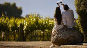 Enoturismo responsable: Invitan a viñas chilenas, Enoturismo responsable: Invitan a viñas chilenas,