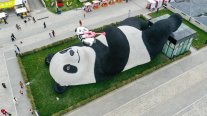 Estatua de panda que se toma selfies apasiona al público en China Estatua de panda que se toma selfies apasiona al público en China