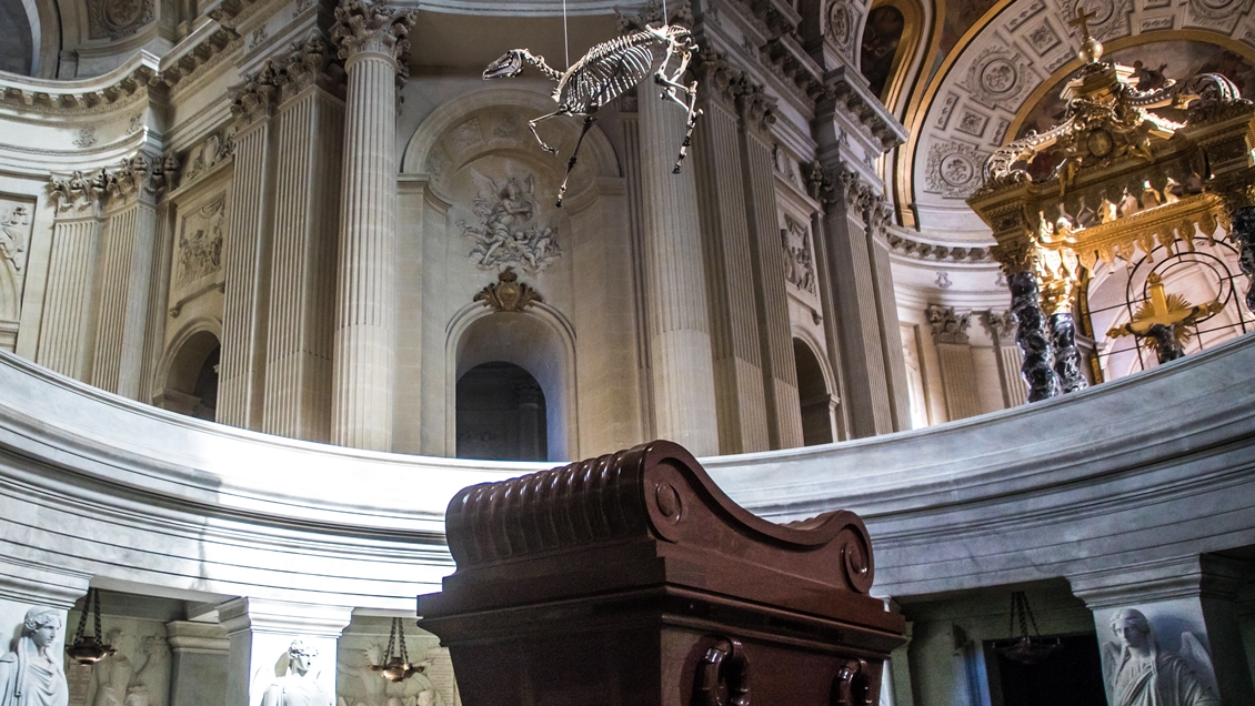 Polémica en Francia por exhibición que suspende esqueleto de caballo sobre la tumba de Napoleón