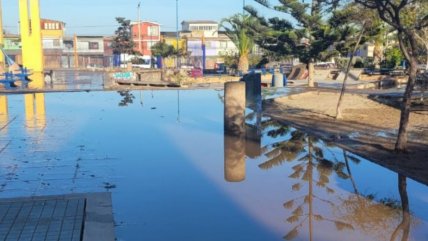  Municipio de Antofagasta denunció daños a la remozada plaza Bicentenario  