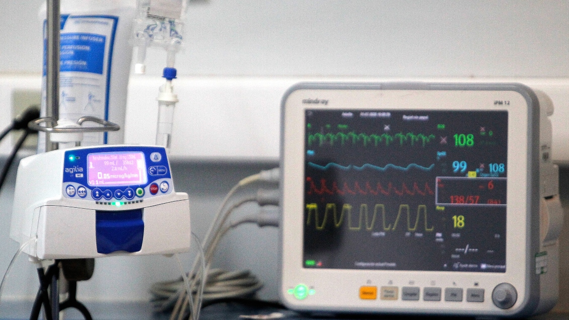 Médicos lograron trasplantar un riñón de cerdo a un humano en Nueva York