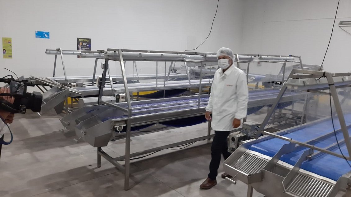 Insólito: Empresario sortea auto cero kilómetro para atraer trabajadores de temporada en el Maule