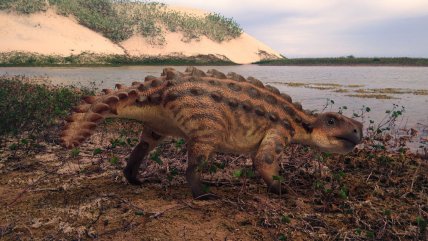  Descubren en la Patagonia especie de dinosaurio acorazado con extraña arma en su cola  