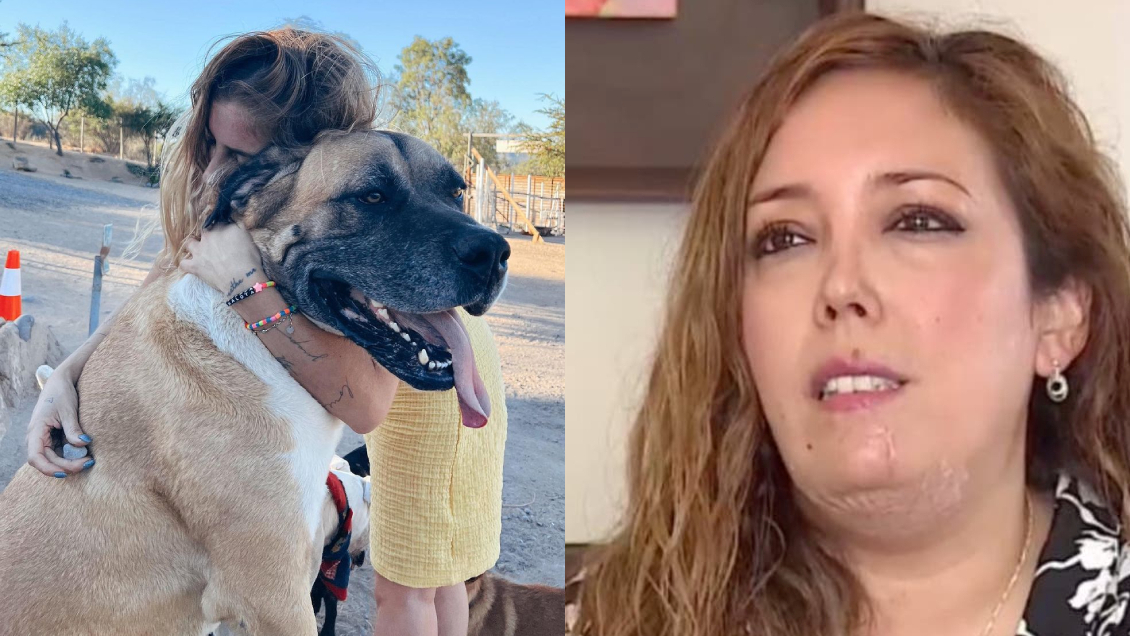 Daniela Castro y el accidente con su perro: Daniela Castro y el accidente con su perro: