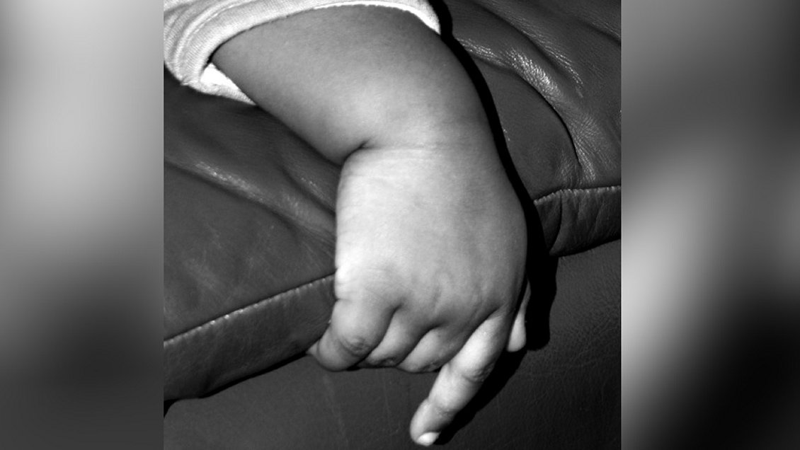 Puerto Montt: Niño de tres años murió atacado por perros en la casa de sus abuelos