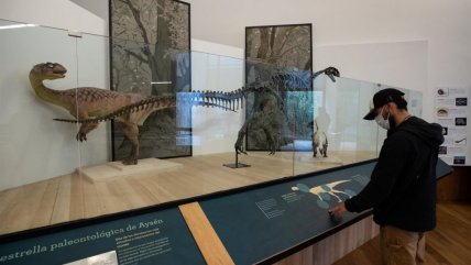   Museo Regional de Aysén, que protege al famoso Chilesaurus, ganó premio en los 