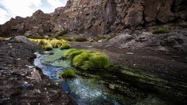 La Haya: Bolivia cerró sus alegatos exigiendo reconocimiento a su 
