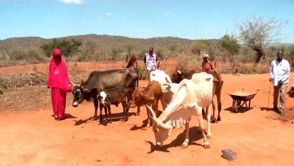   Impacto de la guerra en Ucrania agrava la hambruna extrema en el mundo 