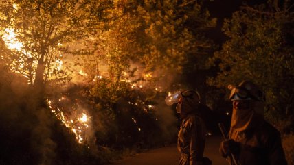   Experto advierte que incendios forestales serán 