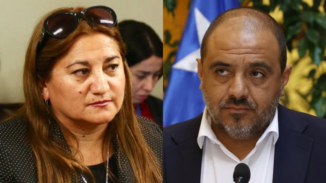 Ministro de Educación protagonizó fuerte discusión con diputada ecologista