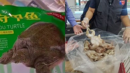  Cierran tienda en barrio Meiggs que vendía hasta carne de tortuga  