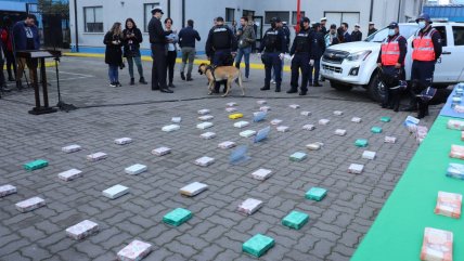  Banda acusada de pretender enviar 100 kilos de cocaína a Europa quedó en prisión  